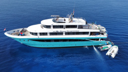 Meet us at boat 